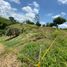  Terreno (Parcela) en venta en Ulloa, Valle Del Cauca, Ulloa