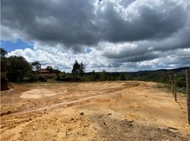  Terreno (Parcela) en venta en San Vicente, Antioquia, San Vicente