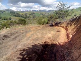  Terreno (Parcela) en venta en San Vicente, Antioquia, San Vicente