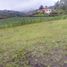  Land for sale in San Vicente, Antioquia, San Vicente