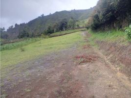  Land for sale in San Vicente, Antioquia, San Vicente