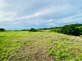  Terreno (Parcela) en venta en Alcala, Valle Del Cauca, Alcala