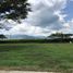  Land for sale in Palmira, Valle Del Cauca, Palmira