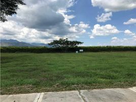  Land for sale in Palmira, Valle Del Cauca, Palmira