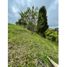  Land for sale in Salento, Quindio, Salento