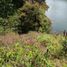  Land for sale in Guatape, Antioquia, Guatape