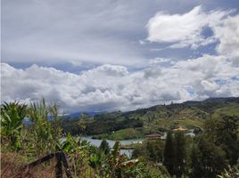  Land for sale in Guatape, Antioquia, Guatape