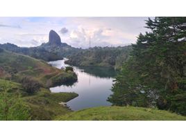  Land for sale in Guatape, Antioquia, Guatape