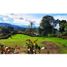  Terreno (Parcela) en venta en La Ceja, Antioquia, La Ceja, Antioquia
