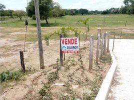  Land for sale in Magdalena, San Zenon, Magdalena