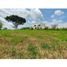  Land for sale in Valle Del Cauca, Ulloa, Valle Del Cauca