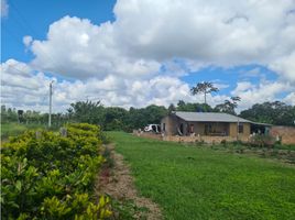 Studio House for sale in Cauca, Popayan, Cauca