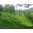  Land for sale in Salento, Quindio, Salento