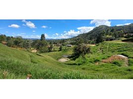  Terrain for sale in San Carlos, Antioquia, San Carlos