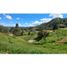  Land for sale in San Carlos, Antioquia, San Carlos, Antioquia, Colombia