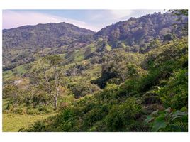  Terreno (Parcela) en venta en Sasaima, Cundinamarca, Sasaima