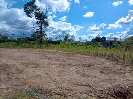  Land for sale in Pereira, Risaralda, Pereira