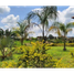  Land for sale in El Cerrito, Valle Del Cauca, El Cerrito