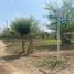  Land for sale in Atlantico, Sabanalarga, Atlantico