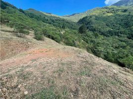  Land for sale in Sabaneta, Antioquia, Sabaneta