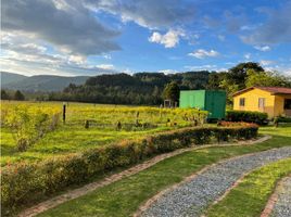 5 Habitación Casa en venta en Pauna, Boyaca, Pauna