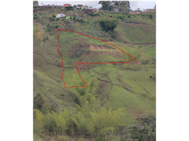  Land for sale in Penol, Antioquia, Penol