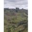  Land for sale in Penol, Antioquia, Penol