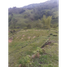  Land for sale in Penol, Antioquia, Penol