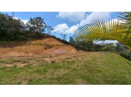  Terrain for sale in Marinilla, Antioquia, Marinilla