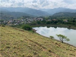  Terreno (Parcela) en venta en Palmira, Valle Del Cauca, Palmira