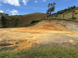  Land for sale in Marinilla, Antioquia, Marinilla