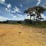  Land for sale in Marinilla, Antioquia, Marinilla