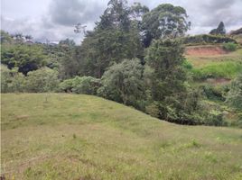 Terrain à vendre à Marinilla, Antioquia, Marinilla