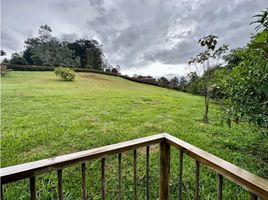  Land for sale in El Carmen De Viboral, Antioquia, El Carmen De Viboral