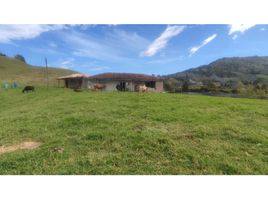 4 Habitación Villa en venta en El Carmen De Viboral, Antioquia, El Carmen De Viboral