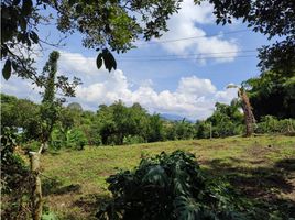  Land for sale in Dosquebradas, Risaralda, Dosquebradas