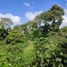  Land for sale in Dosquebradas, Risaralda, Dosquebradas