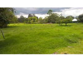  Grundstück zu verkaufen in Rionegro, Antioquia, Rionegro
