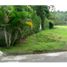  Land for sale in Cali, Valle Del Cauca, Cali