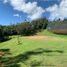  Terrain for sale in Marinilla, Antioquia, Marinilla