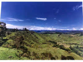 Estudio Villa en venta en El Santuario, Antioquia, El Santuario