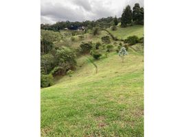  Terreno (Parcela) en venta en El Carmen De Viboral, Antioquia, El Carmen De Viboral