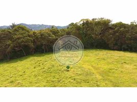  Land for sale in La Ceja, Antioquia, La Ceja