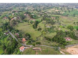 Terrain à vendre à Rionegro, Antioquia, Rionegro, Antioquia