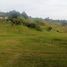 Terrain à vendre à Rionegro, Antioquia, Rionegro, Antioquia