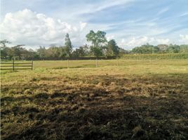  Terreno (Parcela) en venta en Rionegro, Antioquia, Rionegro