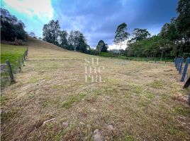  Land for sale in Marinilla, Antioquia, Marinilla