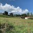 Land for sale in Rionegro, Antioquia, Rionegro