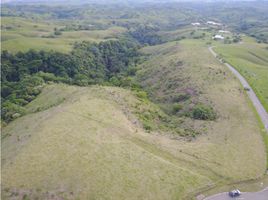  Terreno (Parcela) en venta en Pereira, Risaralda, Pereira