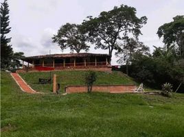 4 Habitación Casa en venta en Valle Del Cauca, Cartago, Valle Del Cauca